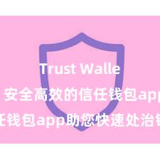 Trust Wallet官方下载 安全高效的信任钱包app助您快速处治钞票